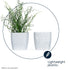 12cm Plant Pot White Sandstone - Set of 3